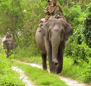 Manas National Park